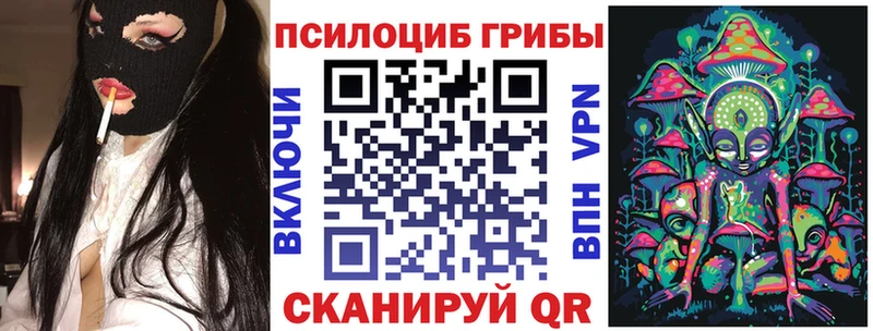 Псилоцибиновые грибы Cubensis  Купить где  Ржев 